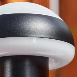 Borne lumineuse Vinara LED Noir, 1 lumière