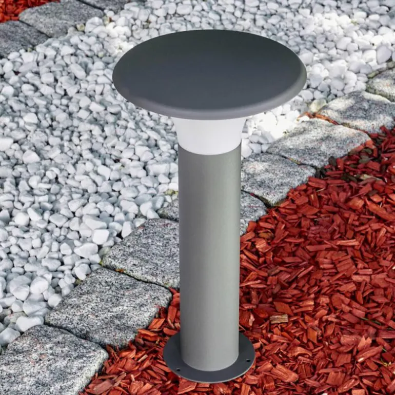 Borne lumineuse Chelmsford LED Anthracite, 1 lumière