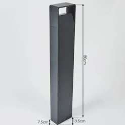 Borne lumineuse Dubona LED Anthracite, 1 lumière
