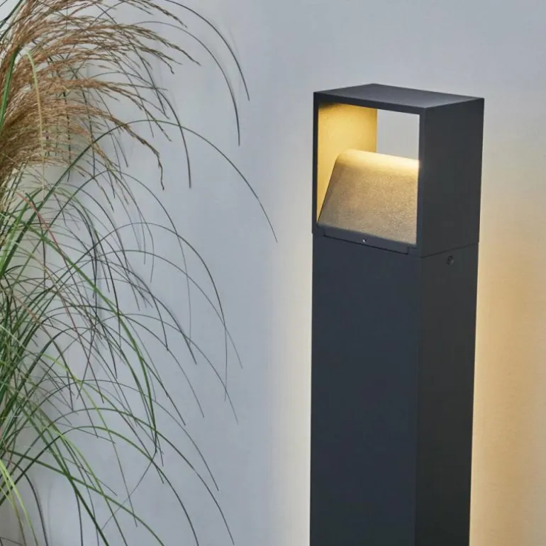 Borne lumineuse Dubona LED Anthracite, 1 lumière