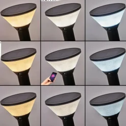 Borne lumineuse Joennierni LED Noir, 1 lumière, Détecteur de mouvement, Changeur de couleurs