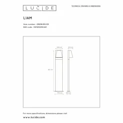 Borne lumineuse Lucide LIAM Anthracite, 1 lumière