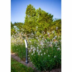 Borne lumineuse Lutec Kira LED Anthracite, 1 lumière