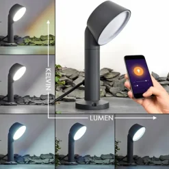 Borne lumineuse Moroni LED Anthracite, 1 lumière