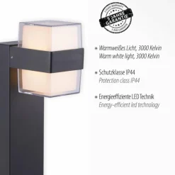 Borne lumineuse Paul-Neuhaus CARA LED Anthracite, 2 lumières
