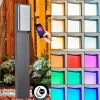 Borne lumineuse Skove LED Anthracite, 1 lumière, Changeur de couleurs