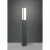 Borne lumineuse Trio Fuerte LED Anthracite, 1 lumière