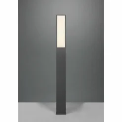 Borne lumineuse Trio Fuerte LED Anthracite, 1 lumière