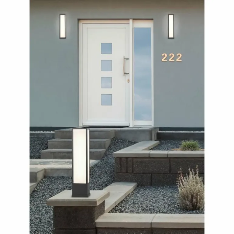 Borne lumineuse Trio Fuerte LED Anthracite, 1 lumière
