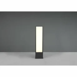 Borne lumineuse Trio Fuerte LED Anthracite, 1 lumière