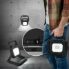 BRIAN Spot de jardin Luminaires Globo Lighting LED Noir, Transparent, 1 lumière