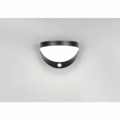 Cobre Applique murale Luminaires Reality LED Noir, 1 lumière, Détecteur de mouvement