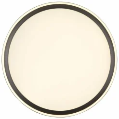 Luminaires Globo Lighting Éclairage Led|Dublin Plafonnier LED Gris, 1 lumière, Télécommandes