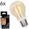 E27 LED 6 Watt blanc chaud 630 Lumen