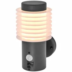 Endura Applique murale Luminaires Ledvance LED Gris, 1 lumière