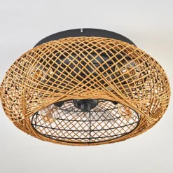 Fallhagen Plafonnier, Ventilateur de plafond lumineux Noir, 4 lumières, Télécommandes