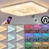 Flavlev Plafonnier LED Argenté, Blanc, 1 lumière, Télécommandes