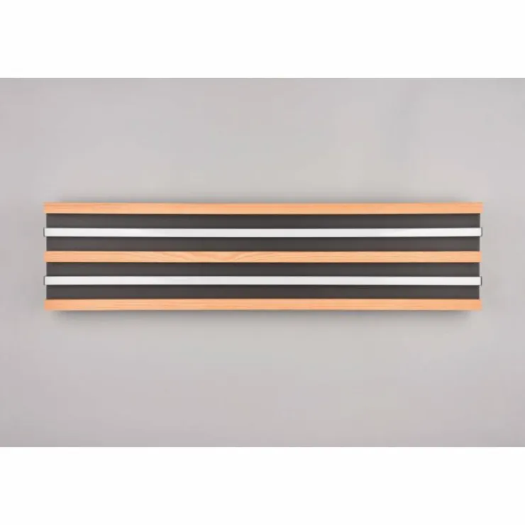 Luminaires Trio Éclairage Led|Fontana Plafonnier LED Noir, 1 lumière