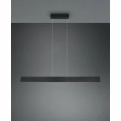 Luminaires Trio Éclairage Led|Galway Suspension LED Noir, 1 lumière