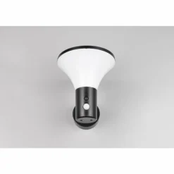 Gorda Applique murale Luminaires Reality LED Noir, 1 lumière, Détecteur de mouvement
