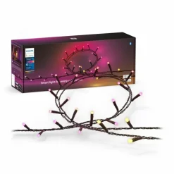 Guirlande Philips Hue Festavia LED Noir, 500 lumières, Changeur de couleurs