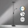 Luminaires Fischer & Honsel Lampadaires Et Lampes Sur Pied|Lampadaire à vasque Fischer & Honsel Driva LED Noir, 1 lumière