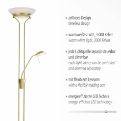 Luminaires Leuchten Direkt Lampadaires Et Lampes Sur Pied|Lampadaire à vasque Leuchten-Direkt ZAHARA LED Laiton, 2 lumières