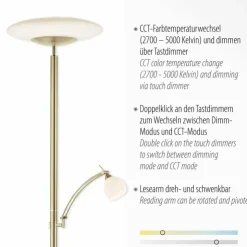Luminaires Paul Neuhaus Éclairage Led|Lampadaire à vasque Paul Neuhaus TROJA LED Laiton, 1 lumière