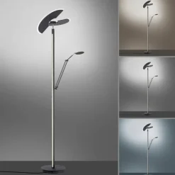 Luminaires Paul Neuhaus Éclairage Led|Lampadaire à vasque Paul Neuhaus PURE-MUTIL LED Anthracite, 2 lumières