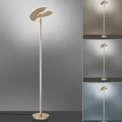 Luminaires Paul Neuhaus Éclairage Led|Lampadaire à vasque Paul Neuhaus PURE-MUTIL LED Laiton, 2 lumières