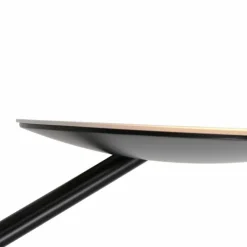 Luminaires Steinhauer Éclairage Led|Lampadaire à vasque Steinhauer Daphne LED Noir, 2 lumières