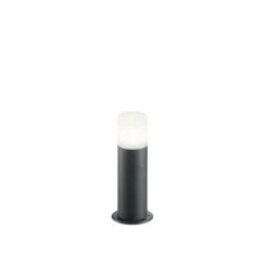 Lampadaire d'extérieur Trio Leuchten HOOSIC Anthracite, 1 lumière