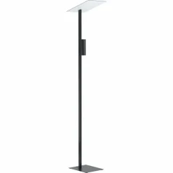 Luminaires Eglo Lampadaires Et Lampes Sur Pied|Lampadaire Eglo BUDENSEA LED Noir, Blanc, 2 lumières