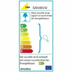 Lampadaire extérieur Trio KONGO Noir, 1 lumière
