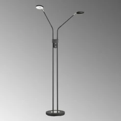 FHL easy Éclairage Led|Lampadaire Luna LED Noir, 2 lumières