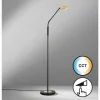 Luminaires Fischer & Honsel Éclairage Led|Lampadaire Fischer & Honsel Dent LED Noir, 1 lumière
