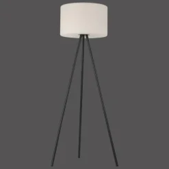 Lampadaire Leuchten Direkt HOLLY LED Noir, 1 lumière, Changeur de couleurs
