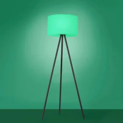 Lampadaire Leuchten Direkt HOLLY LED Noir, 1 lumière, Changeur de couleurs
