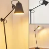 hofstein Lampadaires Et Lampes Sur Pied|Lampadaire Pany Noir, 1 lumière