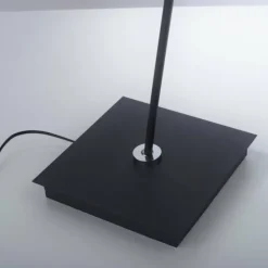 Luminaires Paul Neuhaus Éclairage Led|Lampadaire Paul Neuhaus PURE-MIRA LED Noir, 1 lumière, Télécommandes