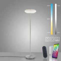 Lampadaire Paul Neuhaus Q-ETIENNE LED Acier brossé, 1 lumière, Télécommandes