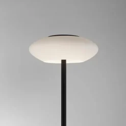 Lampadaire Paul Neuhaus Q-ETIENNE LED Noir, 1 lumière, Télécommandes