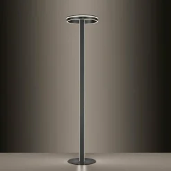 Lampadaire Paul-Neuhaus Q-VITO LED Anthracite, 3 lumières, Télécommandes