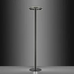 Lampadaire Paul-Neuhaus Q-VITO LED Anthracite, 3 lumières, Télécommandes