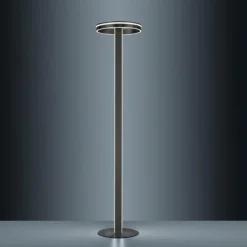 Lampadaire Paul-Neuhaus Q-VITO LED Anthracite, 3 lumières, Télécommandes