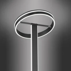 Lampadaire Paul-Neuhaus Q-VITO LED Anthracite, 3 lumières, Télécommandes