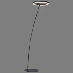 Luminaires Paul Neuhaus Lampadaires Et Lampes Sur Pied|Lampadaire Paul-Neuhaus TITUS Anthracite, 1 lumière