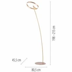 Luminaires Paul Neuhaus Lampadaires Et Lampes Sur Pied|Lampadaire Paul-Neuhaus TITUS LED Laiton, 1 lumière