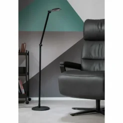 SCHÖNER WOHNEN-Kollektion Lampadaires Et Lampes Sur Pied|Lampadaire Office LED Noir, 1 lumière