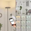 Lampadaire Theron LED Nickel mat, 1 lumière, Télécommandes